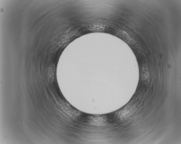 X0000058130370200510171342