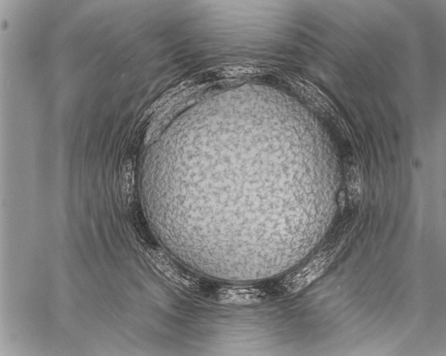 X0000058130372200510171342