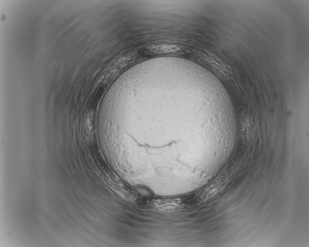 X0000058130373200510171342