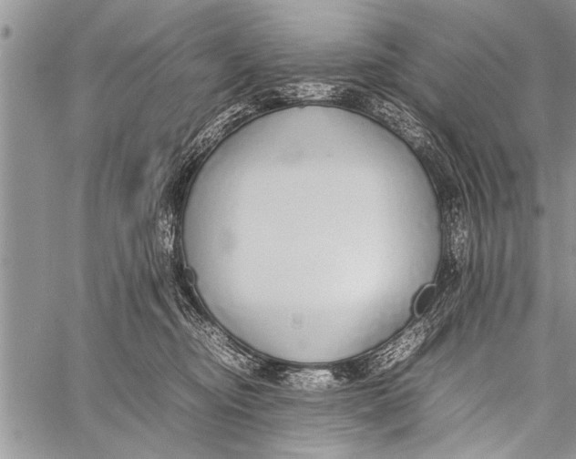 X0000058130374200510171342