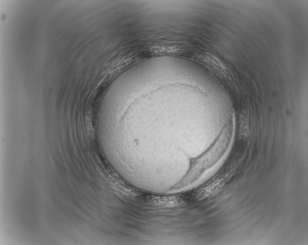 X0000058130377200510171343