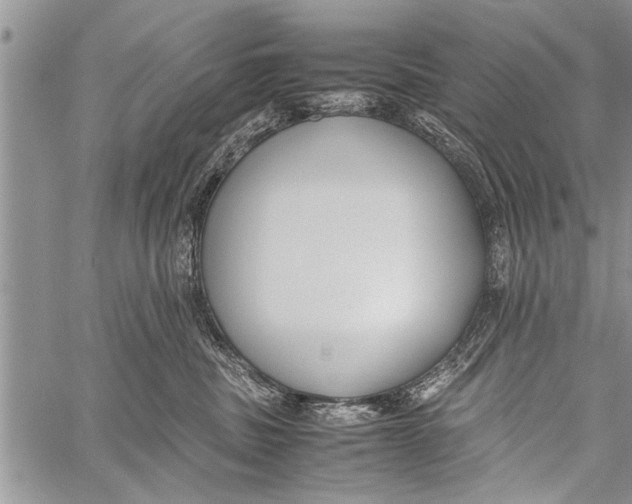 X0000058130379200510171343