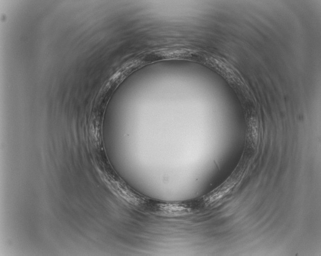 X0000058130380200510171343