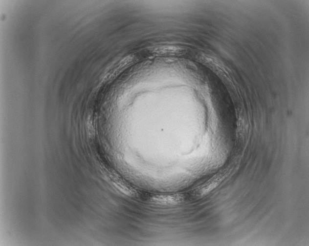 X0000058130381200510171343