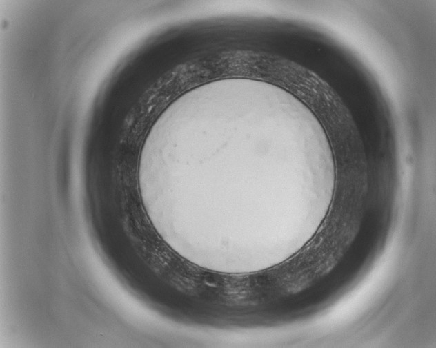 X0000058130382200510171343