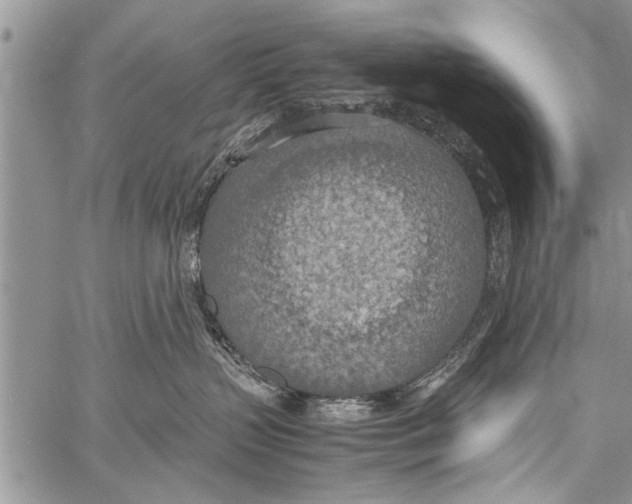 X0000058130383200510171343