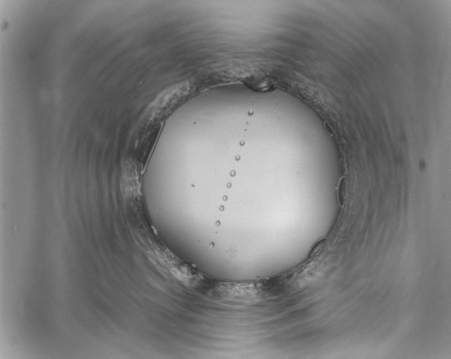 X0000058130384200510171343