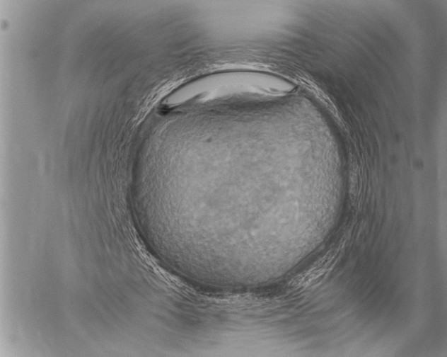 X0000058130385200510171342