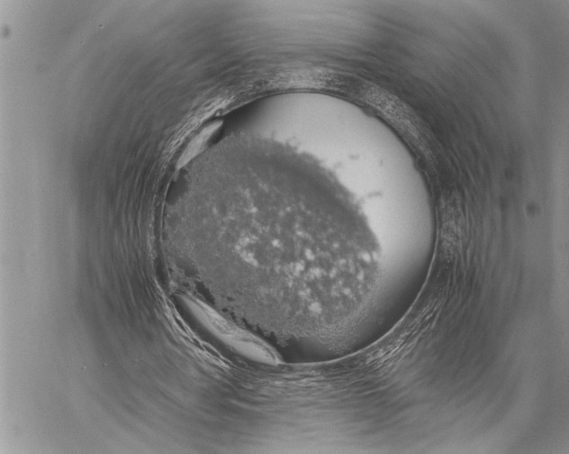 X0000058130386200510171342