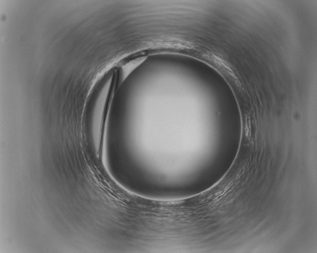 X0000058130388200510171342