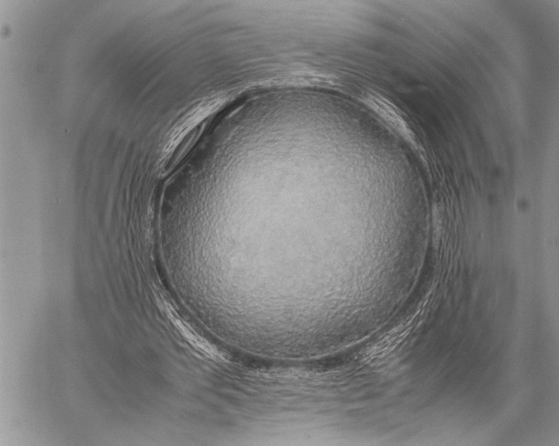 X0000058130389200510171342