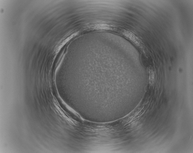 X0000058130390200510171342