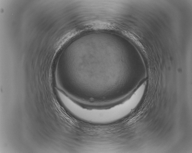 X0000058130391200510171342