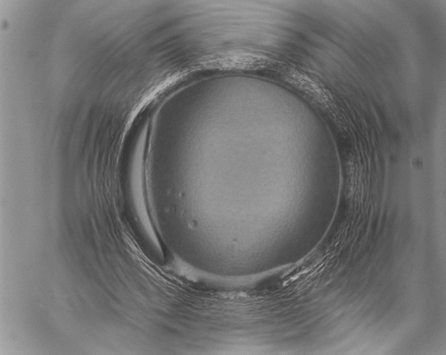 X0000058130392200510171342