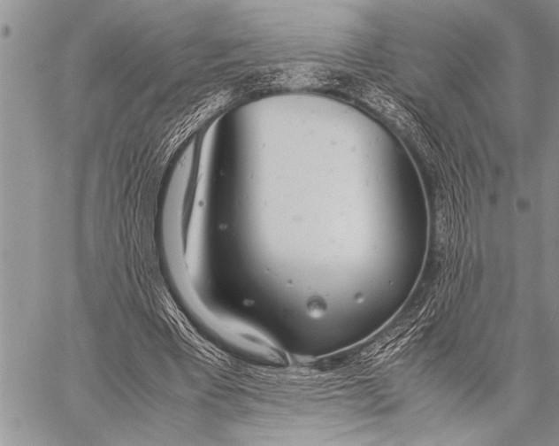 X0000058130393200510171342