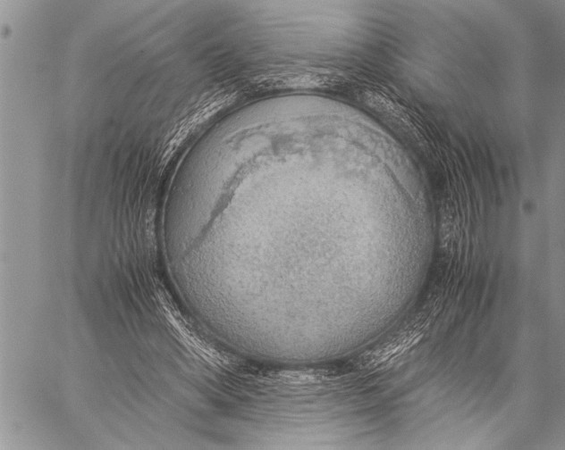 X0000058130394200510171342