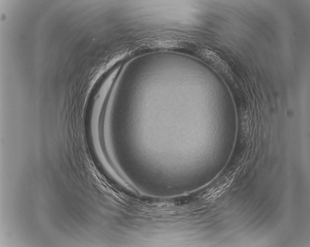 X0000058130395200510171342