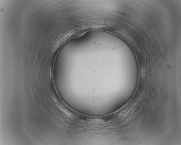 X0000058130397200510171342