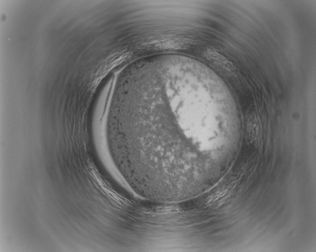 X0000058130398200510171342