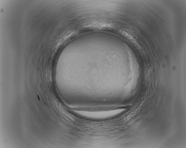 X0000058130399200510171342