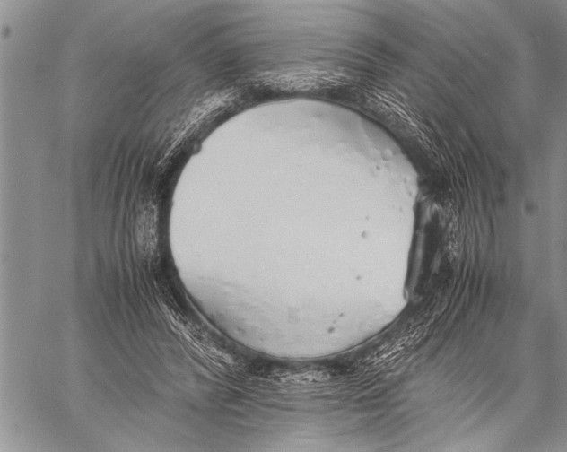 X0000058130400200510171342