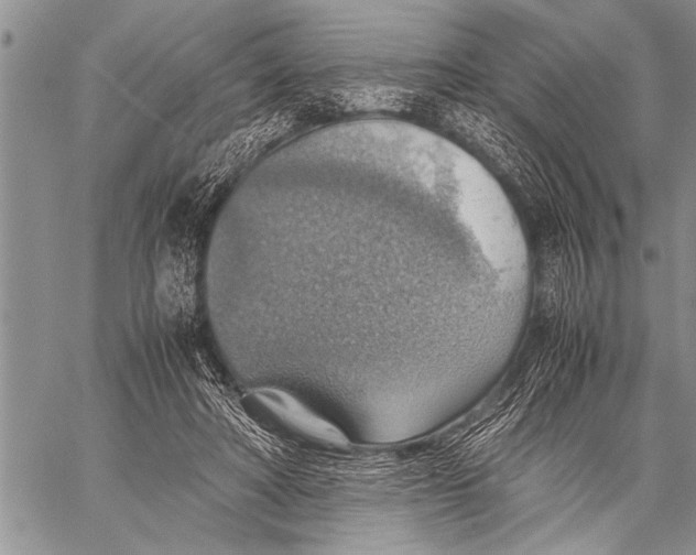 X0000058130402200510171342