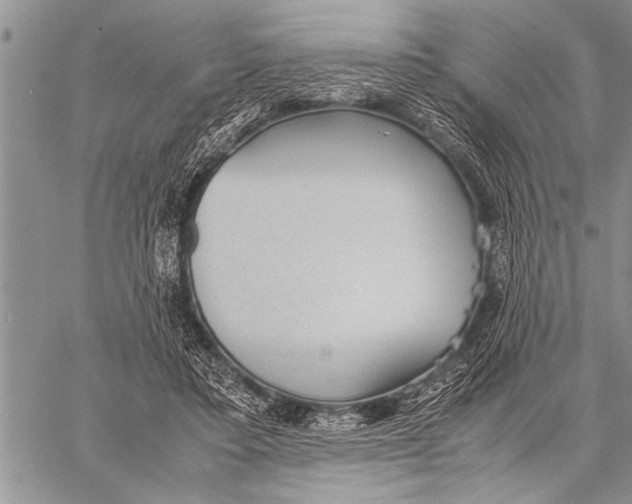 X0000058130403200510171342