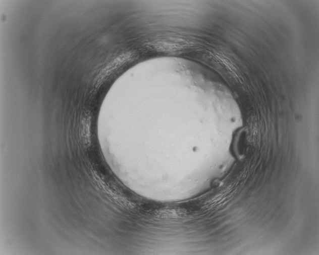 X0000058130404200510171342