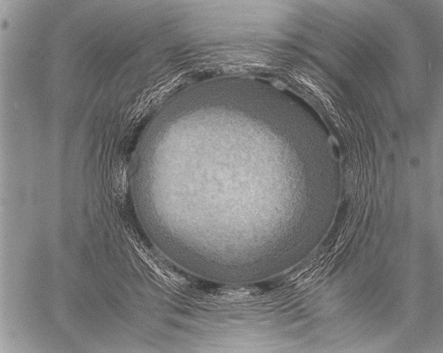 X0000058130405200510171341