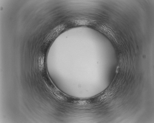 X0000058130406200510171341