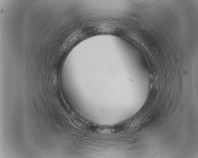 X0000058130407200510171341