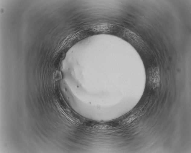 X0000058130408200510171341