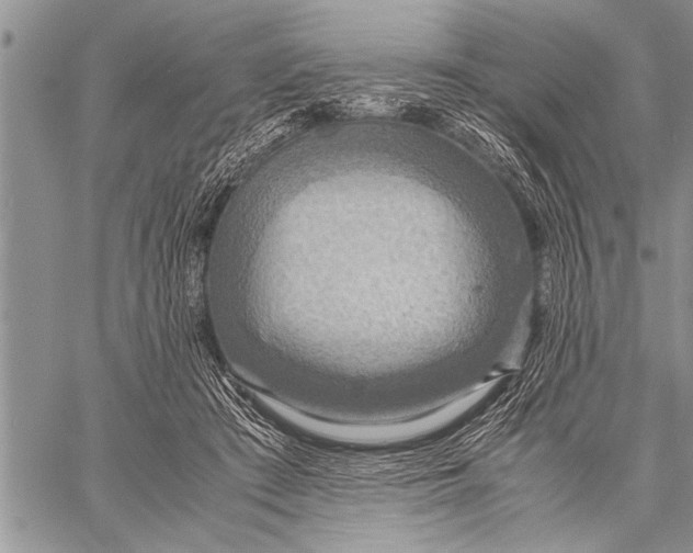 X0000058130409200510171341