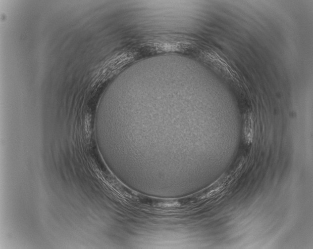 X0000058130410200510171341