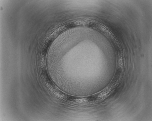 X0000058130411200510171341