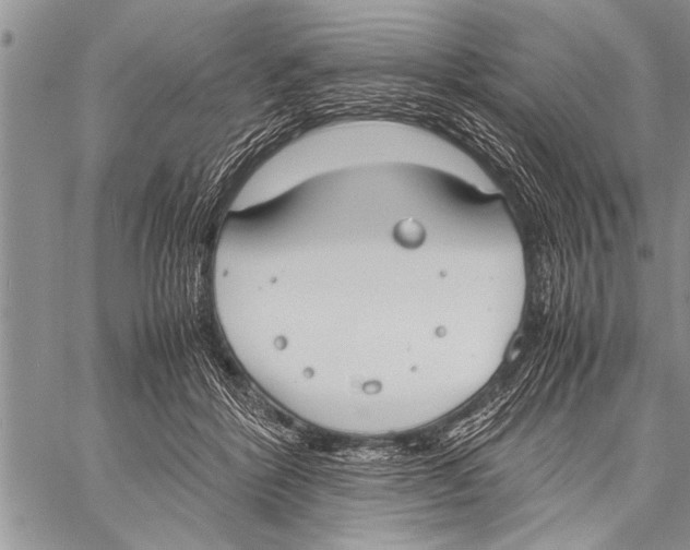 X0000058130412200510171341