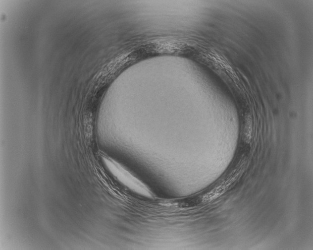 X0000058130413200510171341