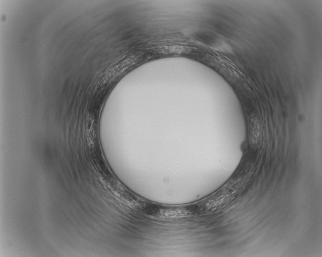 X0000058130414200510171341