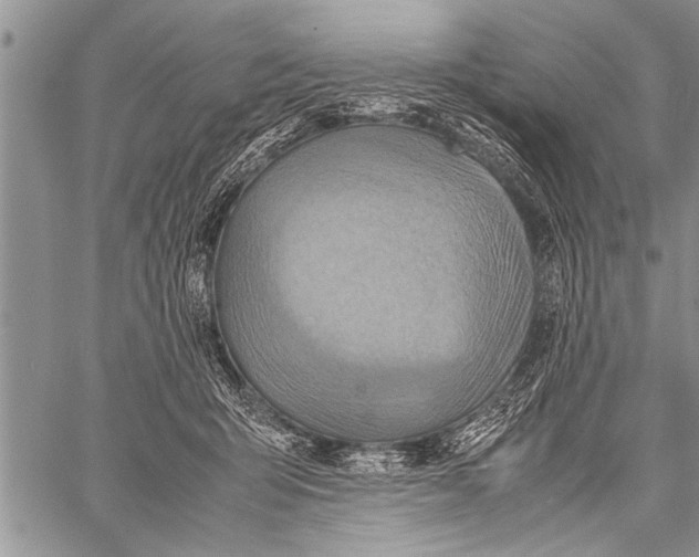 X0000058130415200510171341