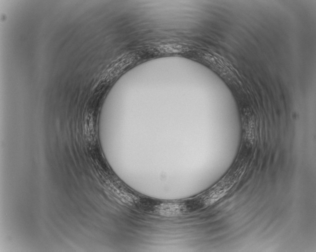 X0000058130418200510171341