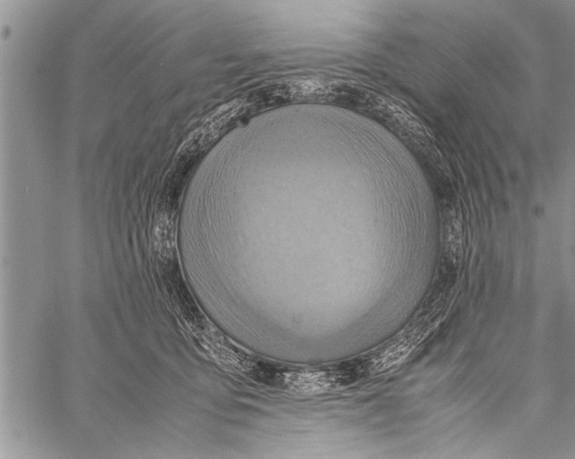 X0000058130419200510171341