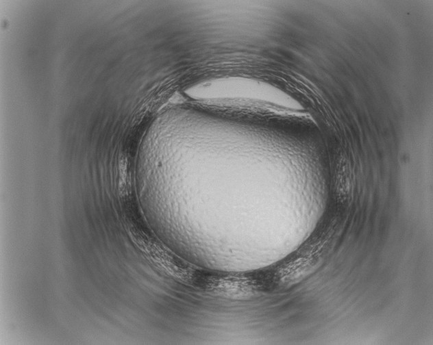 X0000058130420200510171341