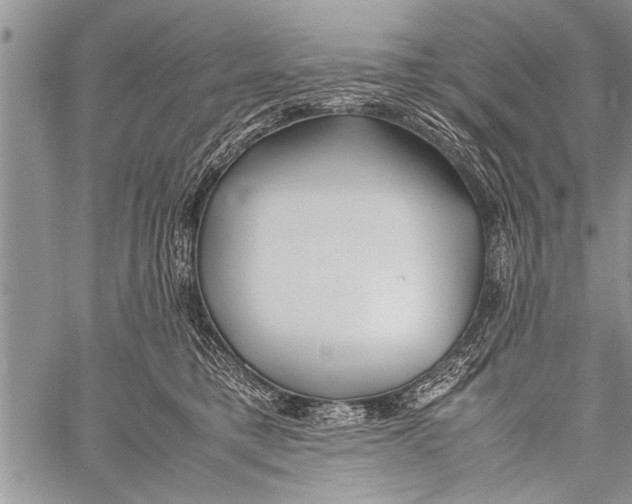 X0000058130421200510171341