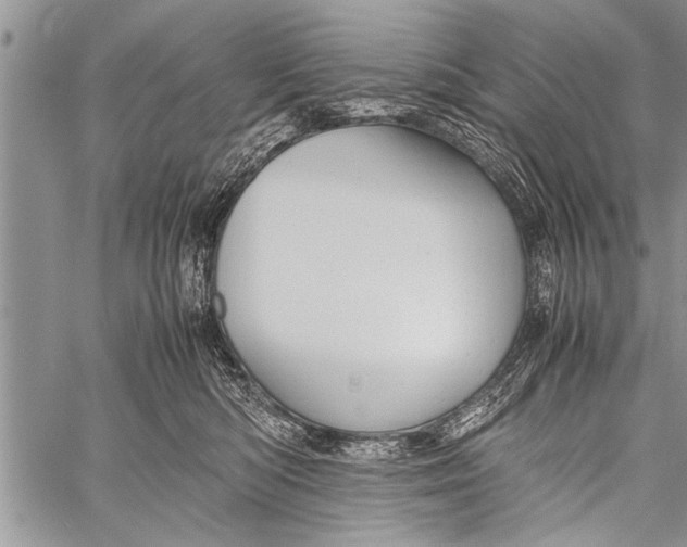 X0000058130422200510171341