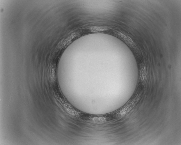 X0000058130426200510171341