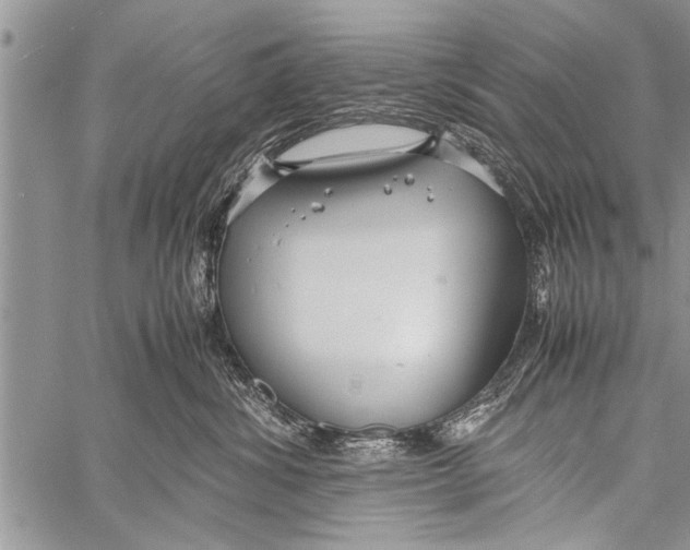 X0000058130428200510171341