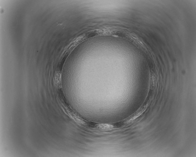 X0000058130429200510171341