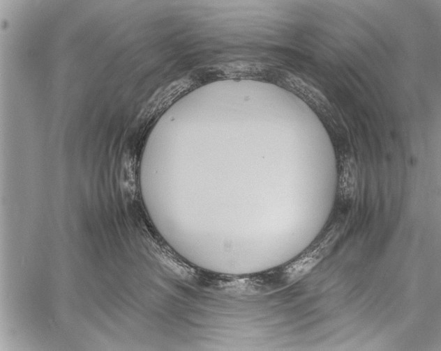 X0000058130430200510171341