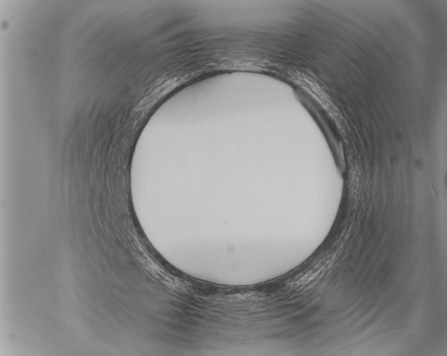 X0000058130433200510171340