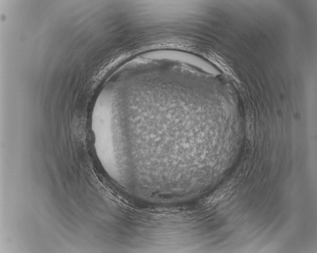 X0000058130434200510171340